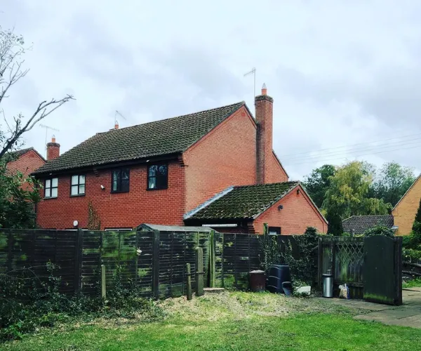 Ash Tree removal after