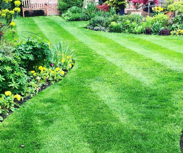 Top Garden Services Lawn Care