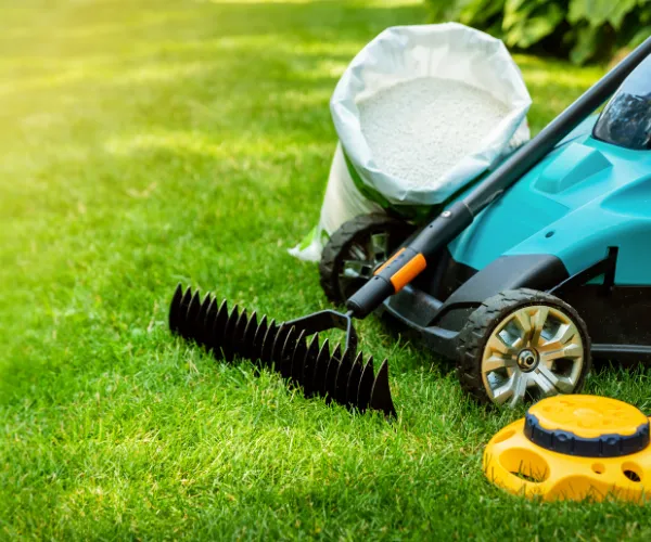 lawn care do's and dont's