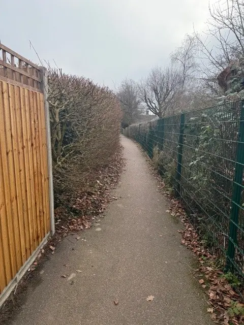 hedge removal in diss (before picture)