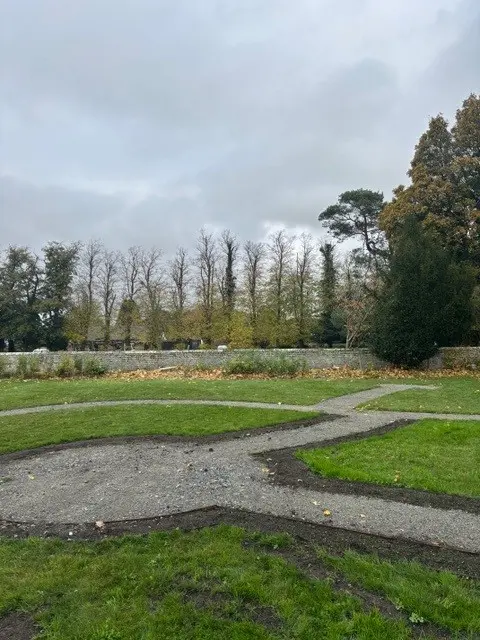 sycamore tree removal for a local parish council in Norfolk