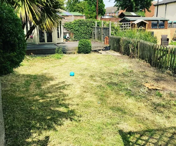 garden clearance domestic after
