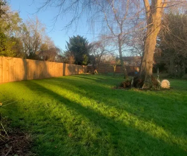 lawn care diss pic 4